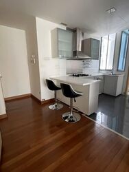 Cairnhill Crest (D9), Condominium #585313631